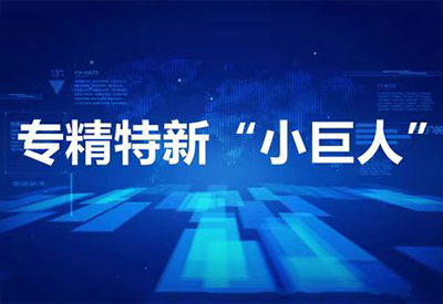 專精特新 “小巨人” 